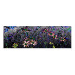 Craquelure do design #6 do jardim da rareza modelos cartao de visita