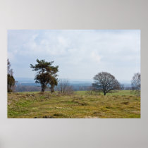 Crescendo acima o poster da foto da paisagem das á posters