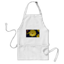 crisântemo amarelo "especiaria" (florista Chrysant Aventais