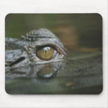Crocodilo Mousepad