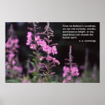 Cummings poster inspirado da EE, plantas do Firewe