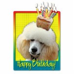 Cupcake do aniversário - caniche - abricó fotoesculturas