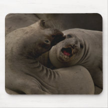 Curva Mousepad dos E-Selos