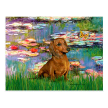 Dachshund (brown1) - lírios 2 cartoes postais