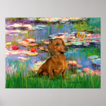 Dachshund (brown1) - lírios 2 posteres