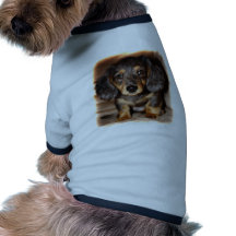Dachshund Roupa Para Pet