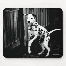 Dalmatian brincalhão Mousepad