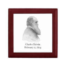 Darwin Porta Jóias