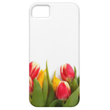Das flores gráficas das tulipas da foto das tulipa capas iPhone 5