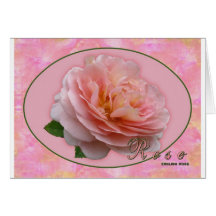 David Austin English_Rose Cartao