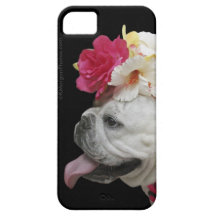 De "caso do iPhone 5 do animal partido" Capas iPhone 5