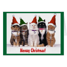 De "Natal Meowy!" Gatos Cartoes