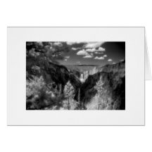 De "parque nacional Yellowstone " Cartões