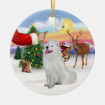 Deleite para um Samoyed (#1) Ornamento Para Arvores De Natal