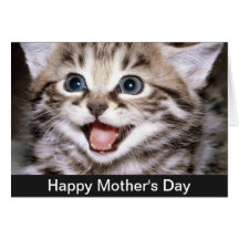 Desejos do dia das mães do gatinho cartões