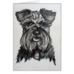 Desenho do Schnauzer diminuto Cartoes