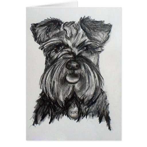 Desenho do Schnauzer diminuto Cartoes