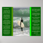 DESIDERATA que surfam os posters da onda