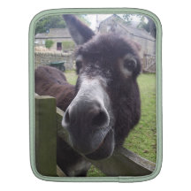 Design do asno bolsa para iPad