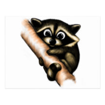 Design do guaxinim cartoes postais