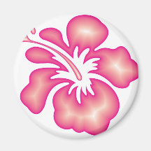 Design do hibiscus imas