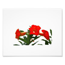 Design floral vermelho da foto do entalhe das flor