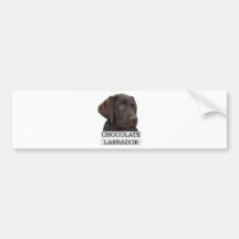 Design original de Labrador do chocolate! Adesivo