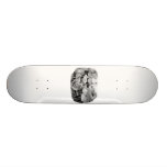 Design preto e branco da fotografia de Drumset Skates