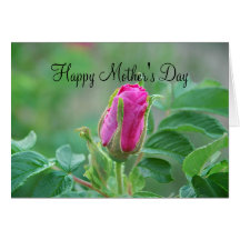 Dia das mães do Rosebud Cartao