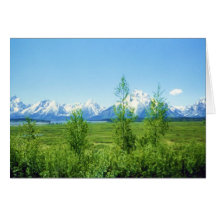 Dia dos pais de Tetons do primavera Cartoes