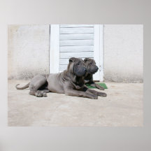 Dias de cão do verão…. impressão