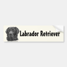 Diesel, labrador retriever preto adesivos