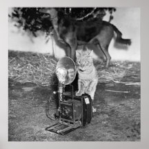 Diga o Catnip: 1936 Impressão