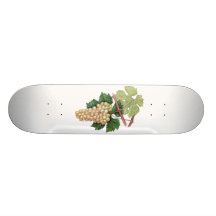 Dionysus & coleção de Rhea Skates