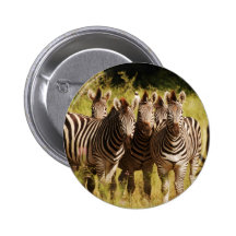 Direito em você - animais selvagens do safari das  boton