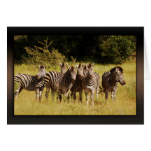 Direito em você - animais selvagens do safari das  cartões
