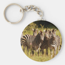 Direito em você - animais selvagens do safari das  chaveiros