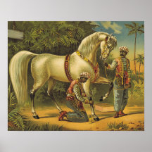 Direitos do cavalo do T Pôsteres