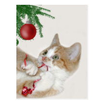 Divertimento do Natal do gato Cartao Postal