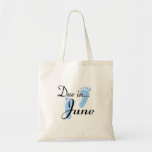 Dívida em junho bolsas para compras