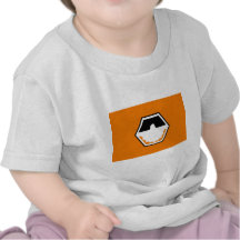 Divinopolis, bandeira de Brasil Camisetas