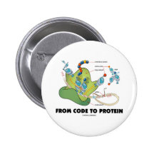 Do código à proteína (síntese da proteína) botons