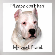 Dogo BSL - Por favor não proiba meu poster do melh