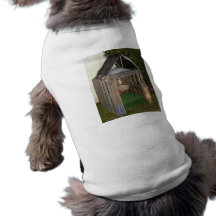 dogonegreen camisa para cães