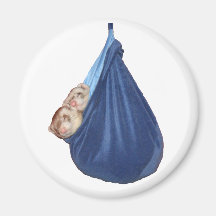 Doninhas no ímã do saco de sono de A Ima