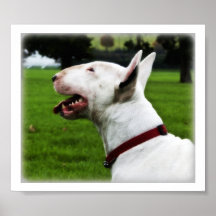 Dottie Posters