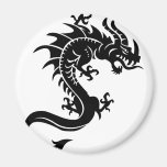 Dragão, Dragon Imãs De Refrigerador