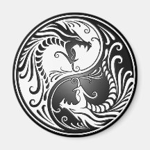 Dragões de Yin Yang Imã