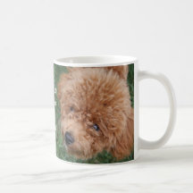 Duas caniches caneca
