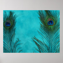 Duas penas do pavão do Aqua Poster